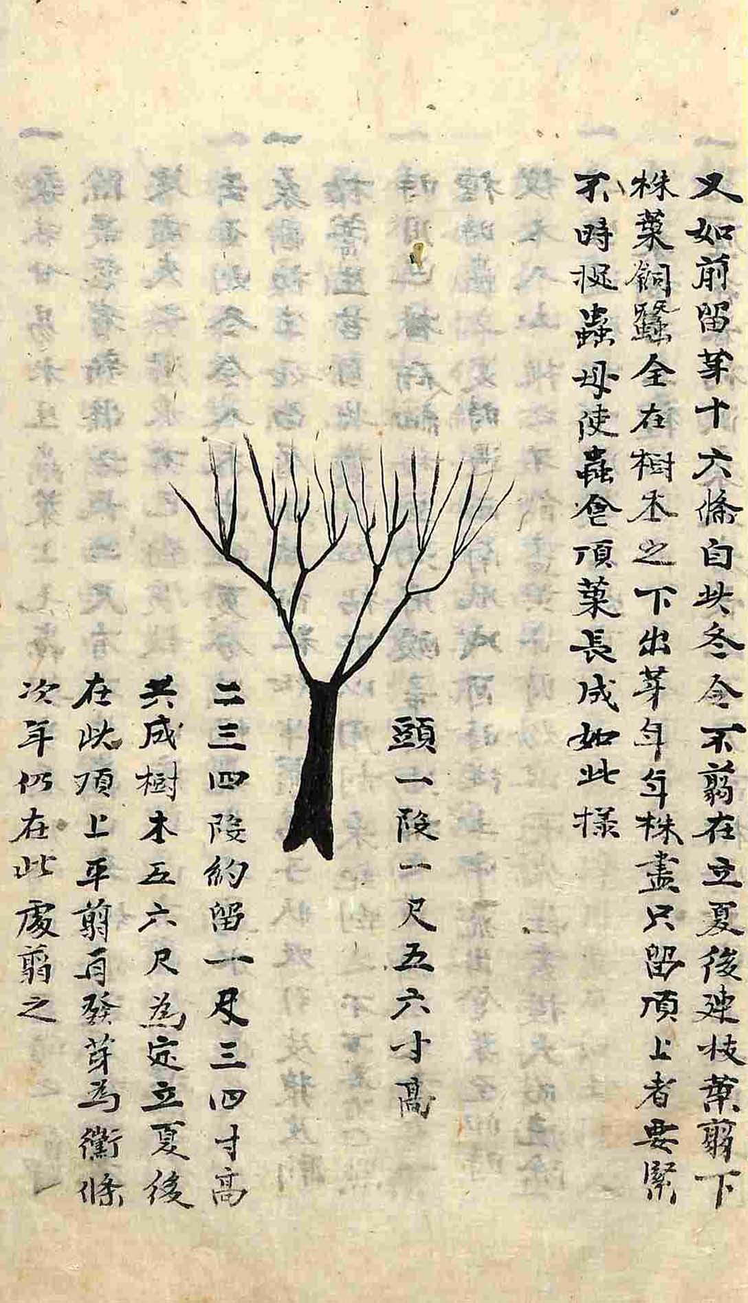 책표지-蚕桑撮要 _3